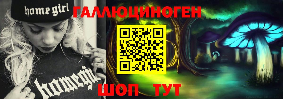Красногорск  Псилоцибиновые грибы Psilocybine cubensis  Вход с VPN  Галлюциногенные грибы Magic Shrooms 